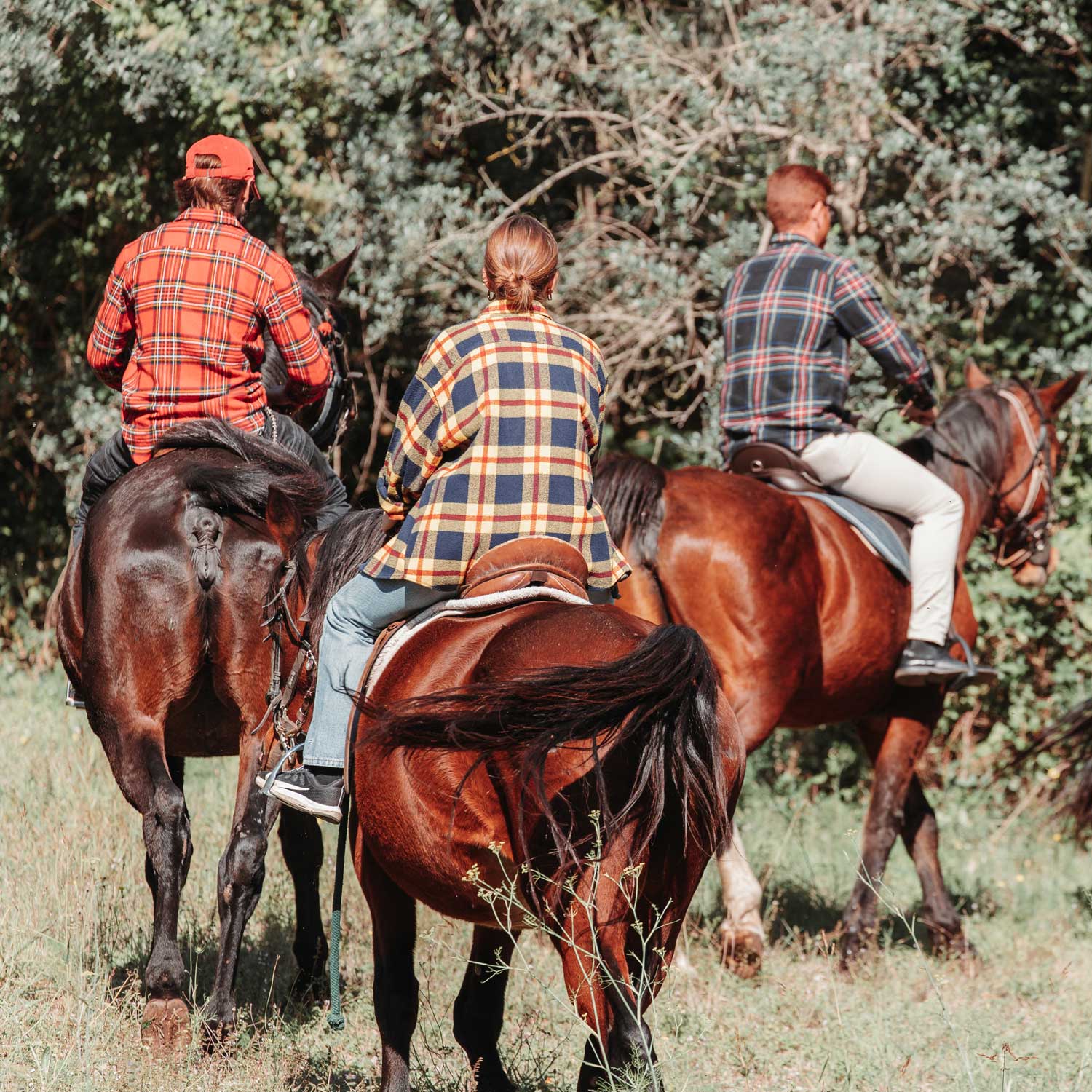 Corsale_country_house_horse_experience